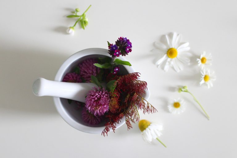medicinal flower gce6133c43 1920 768x512